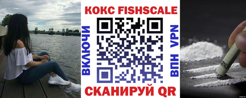 где купить Ардатов КОКАИН Fish Scale