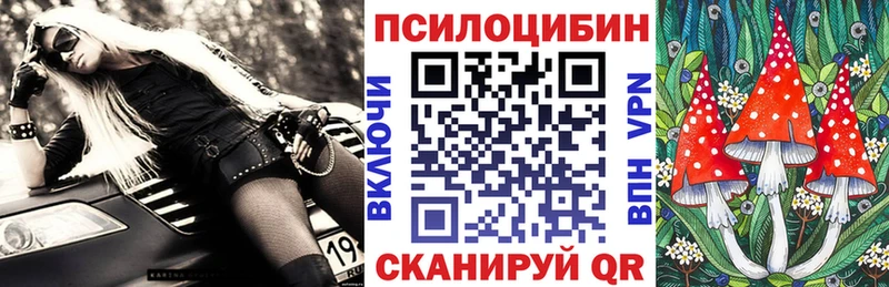 Псилоцибиновые грибы GOLDEN TEACHER  сайты даркнета официальный сайт  Ардатов 